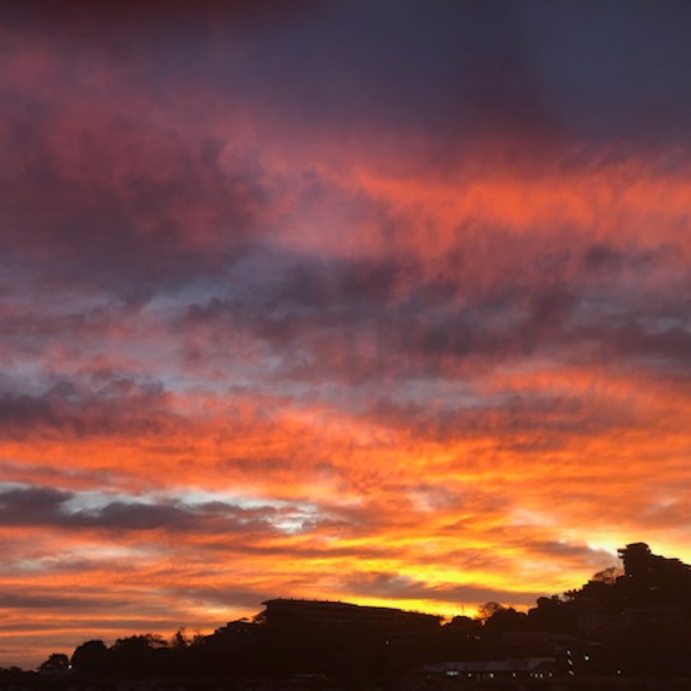 Meet your Posher, Liane